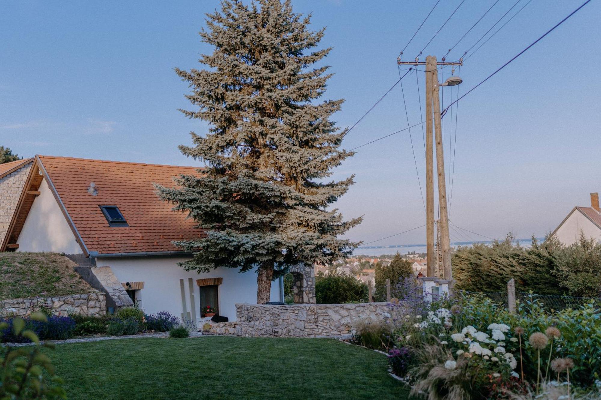 Appartamento Panorama Vine House Balatonfüred Esterno foto